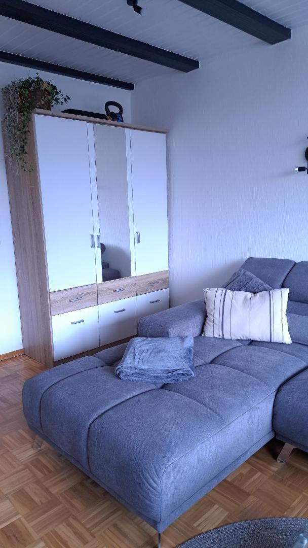 1-Zimmer-Appartement Schoene Aussicht Langelsheim Exteriör bild